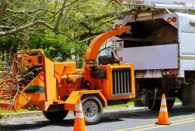 tree removal Third Lake il