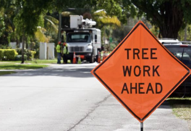 tree removal lake il