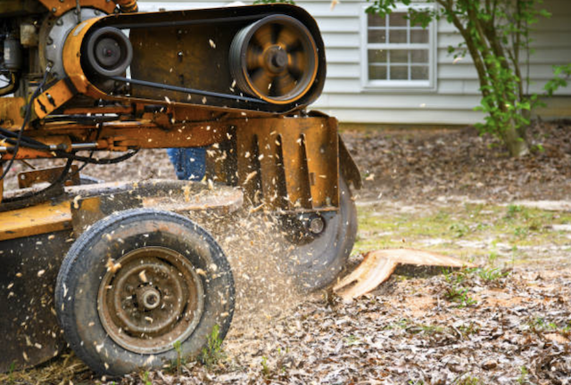 stump grinding lake, il